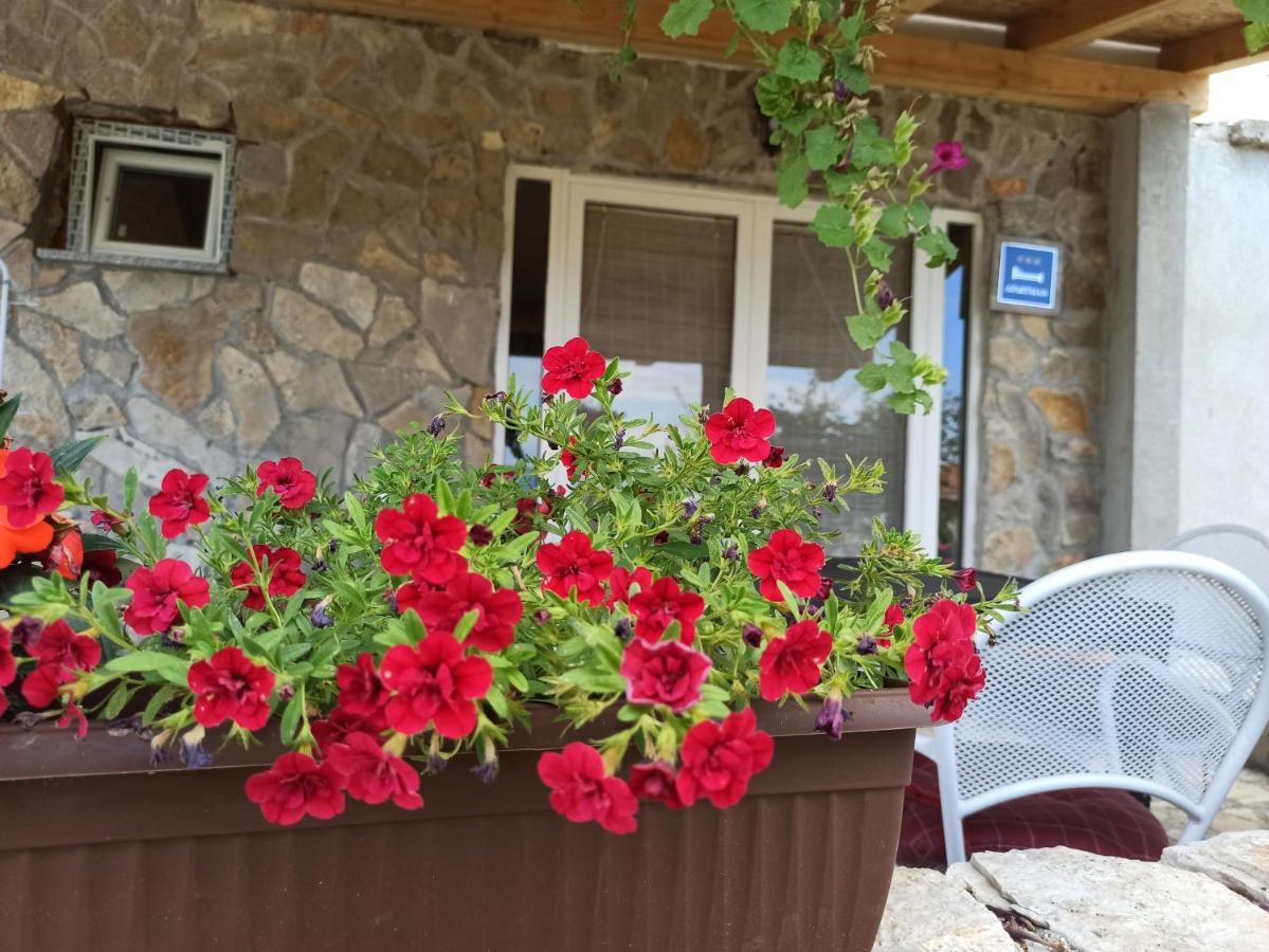 Mare Appartement Babin Dub Plocanski
